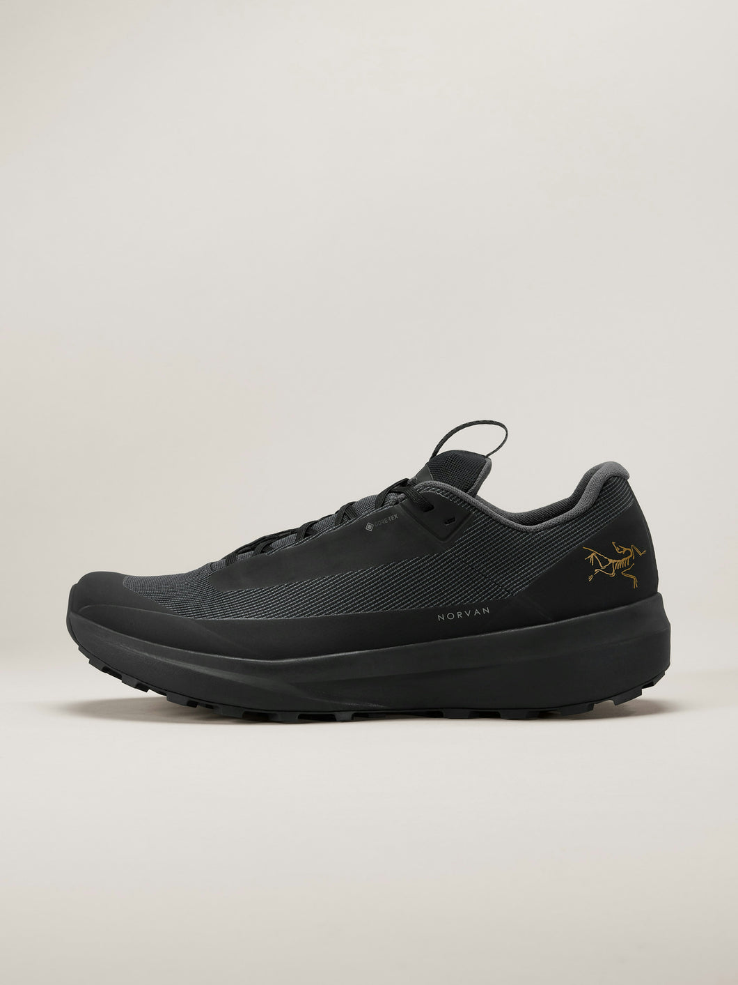 Arcteryx Norvan LD 4