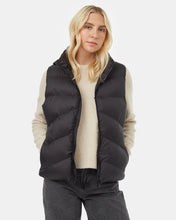 Load image into Gallery viewer, Ten Tree W Boulder Vest
