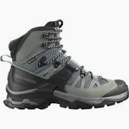 Load image into Gallery viewer, Salomon W QUEST 4 GORE-TEX
